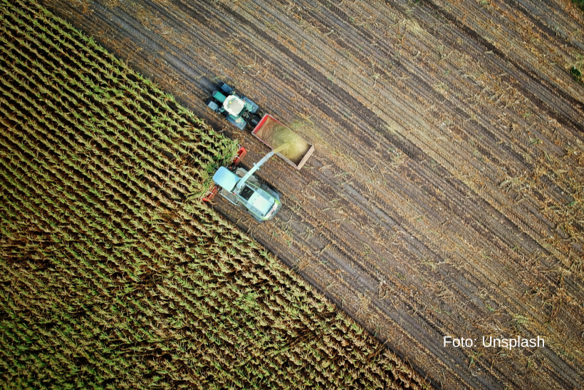 Poljoprivreda u Srbobranu: tradicija, inovacija i održivost