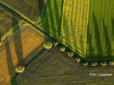 Pogled na Kulu iz ugla poljoprivrednika